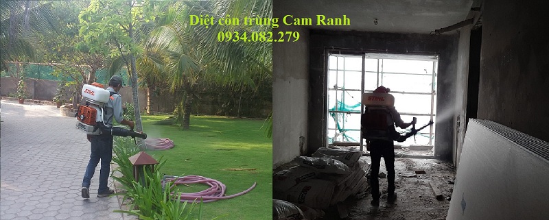 Công ty diệt côn trùng Cam Ranh