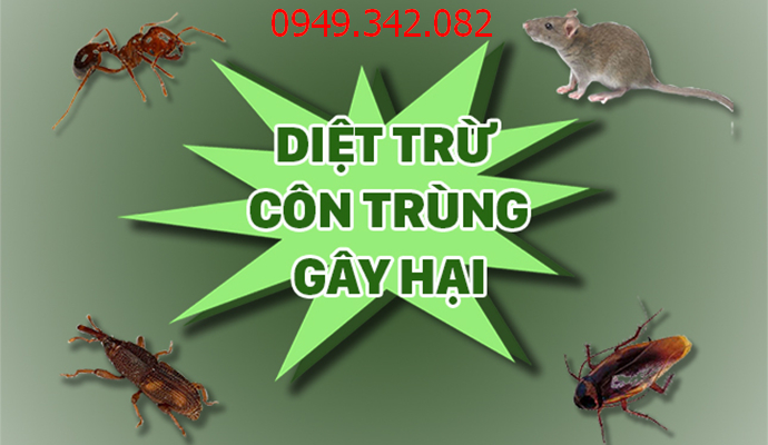 Diệt côn trùng tại Hồ Chí Minh 2