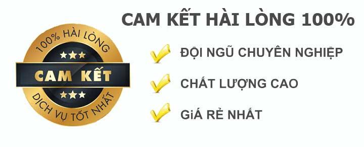 Dịch vụ diệt mối tận gốc chuyên nghiệp, hiệu quả, giá rẻ nhất thị trường